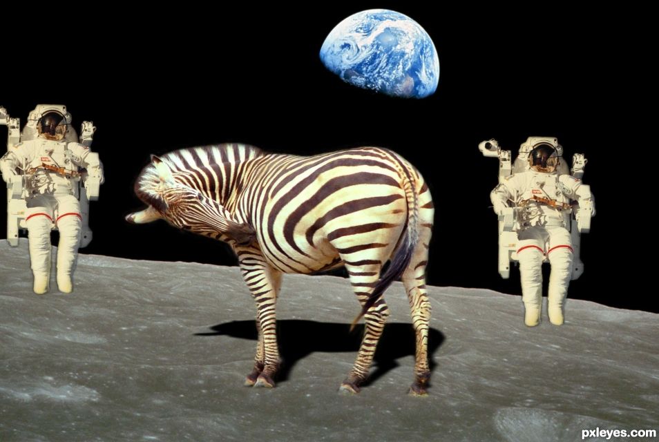 Creation of space Zebra: Step 6