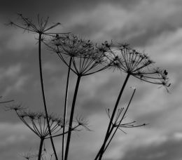 Past its Best