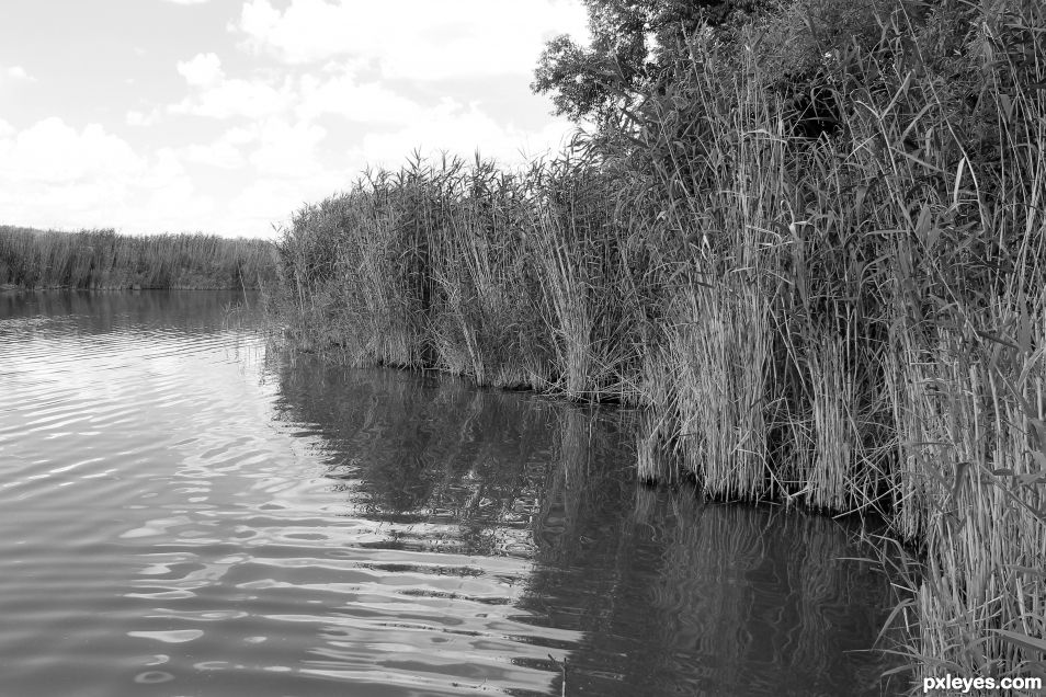 Quiet Backwater