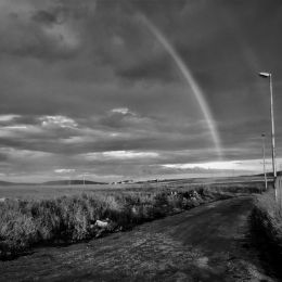 rainbow Picture