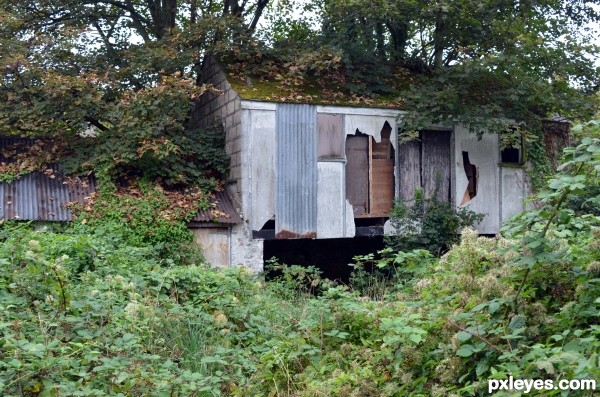 old shed