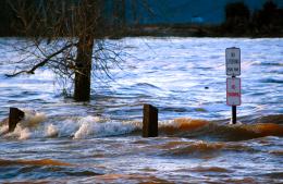 ParknFlood