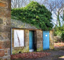 The Old Shed