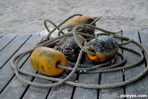 Barnacled Buoy