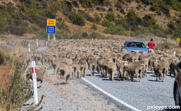 Road blocked