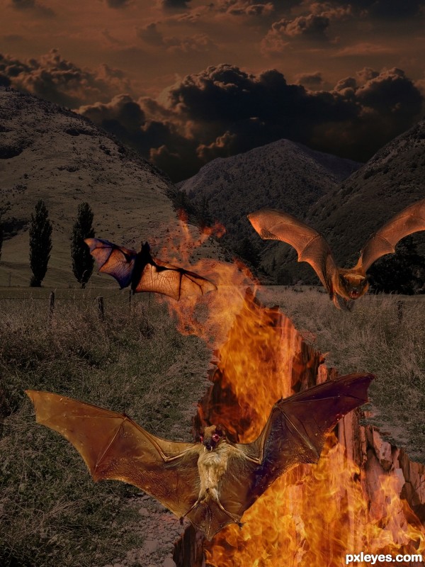 Creation of BATS OUT OF HELL: Final Result