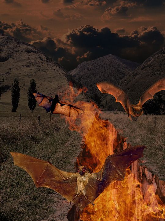 Creation of BATS OUT OF HELL: Step 9
