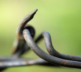  Wired Prairies