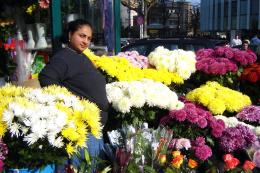 Flowers for everyone