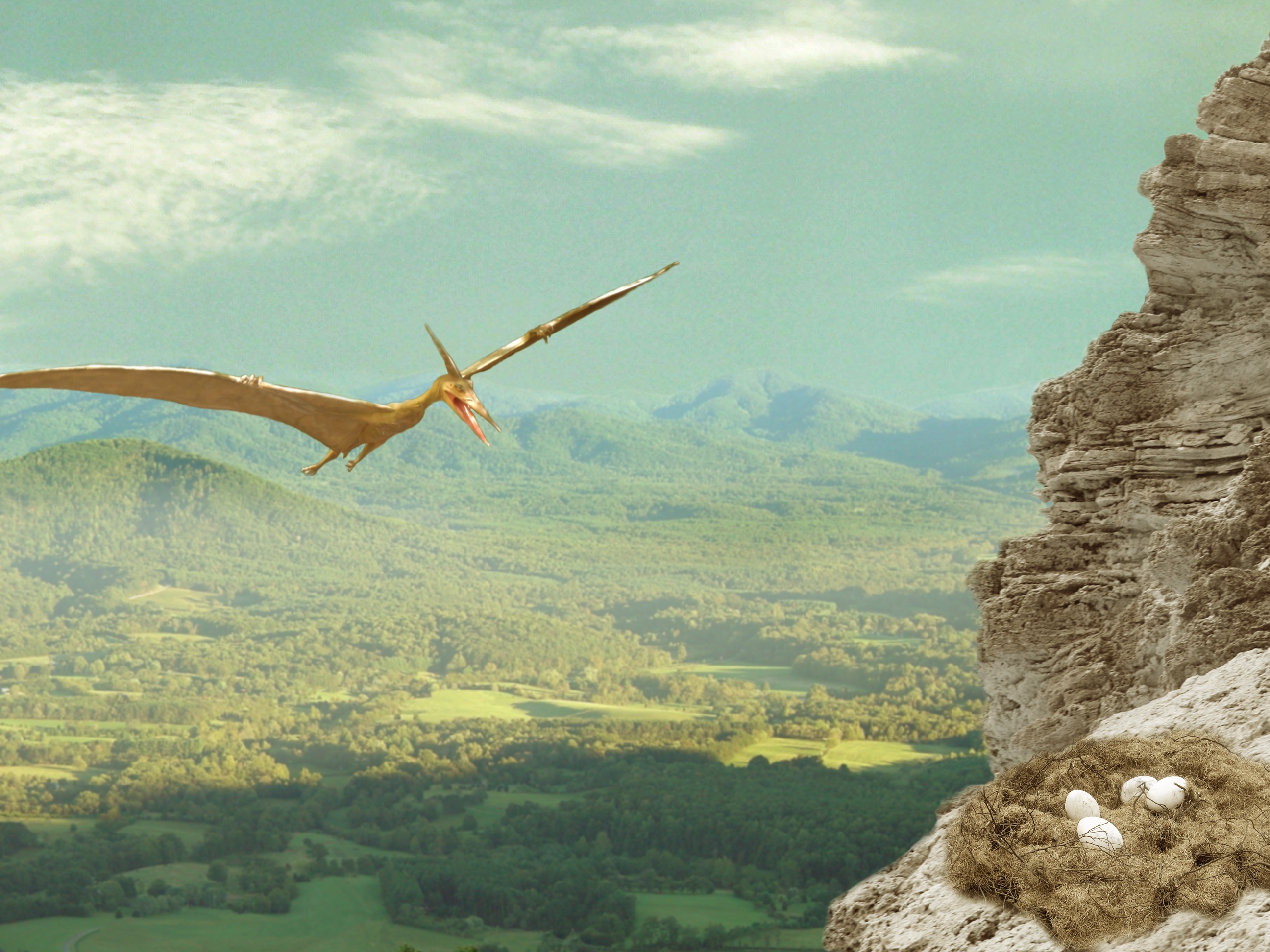 Pterodactyl Nest picture, by damianjenkins1 for: nest eggs photoshop  contest 