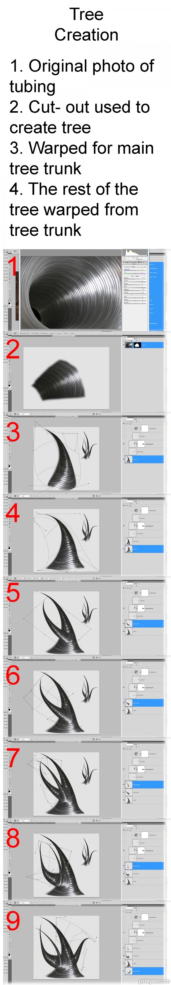 Creation of The New World: Step 10