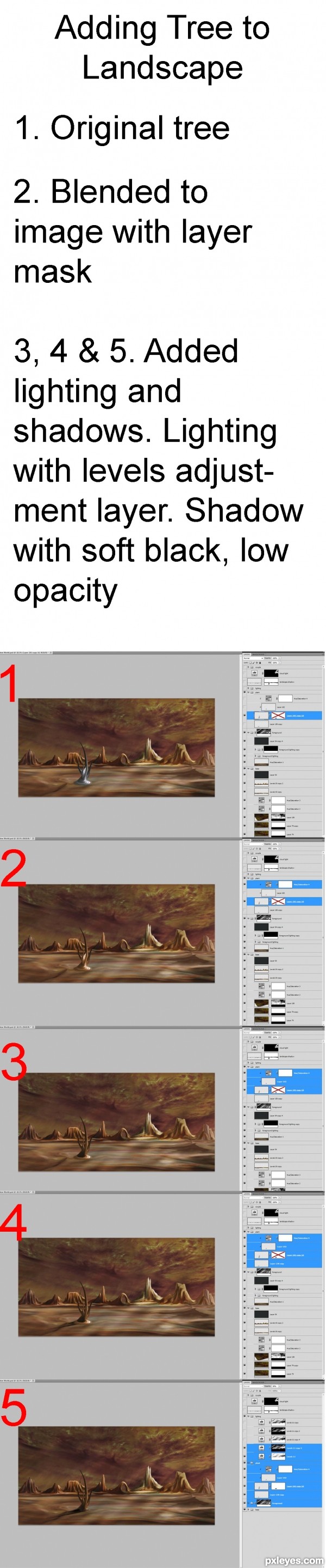 Creation of The New World: Step 11