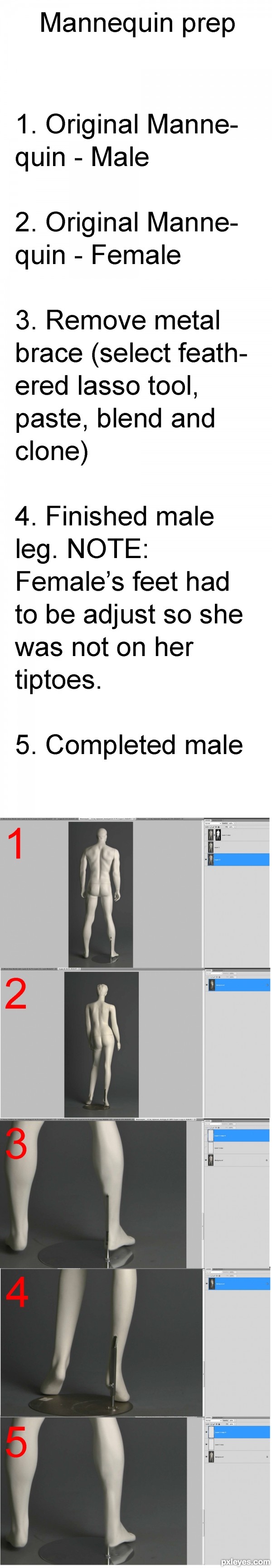 Creation of The New World: Step 12