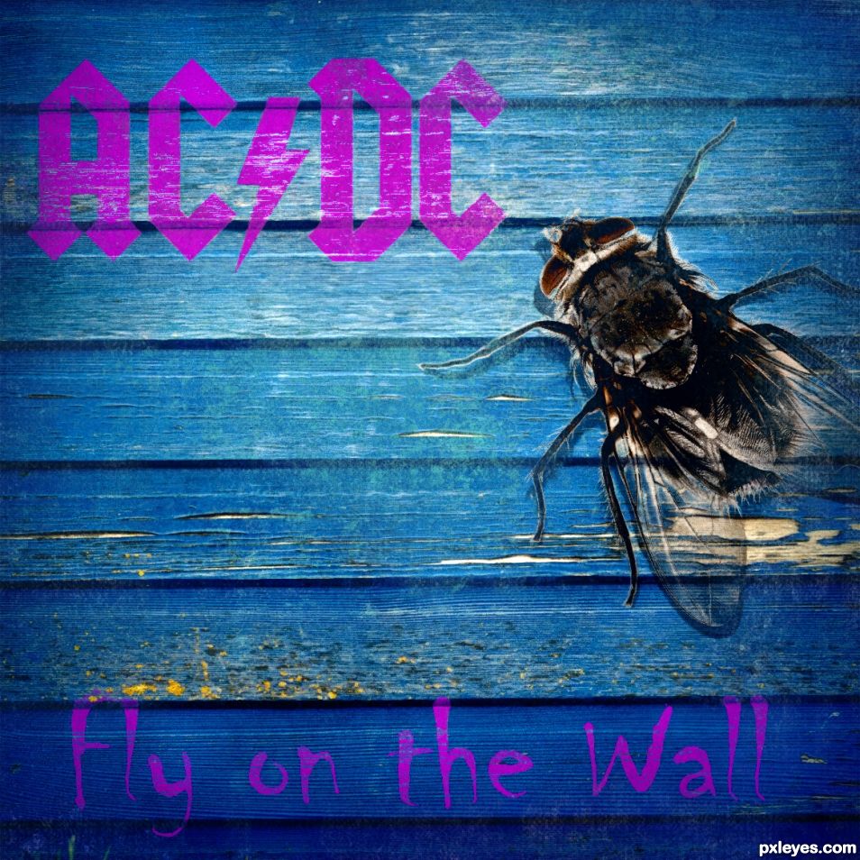 Fly