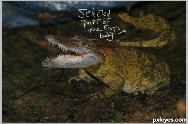 Creation of Crocofrog: Step 3
