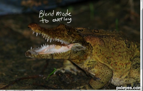 Creation of Crocofrog: Step 4