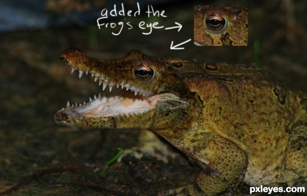 Creation of Crocofrog: Step 5