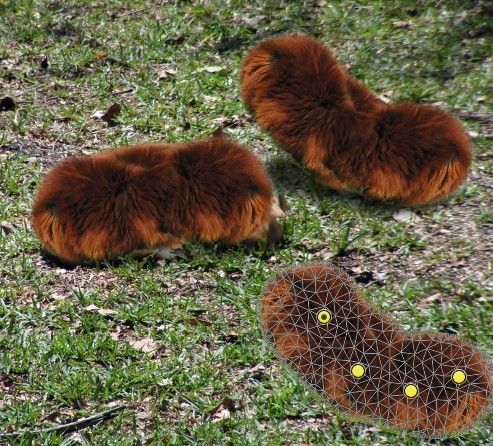 Creation of Fuzzy Poops: Step 5