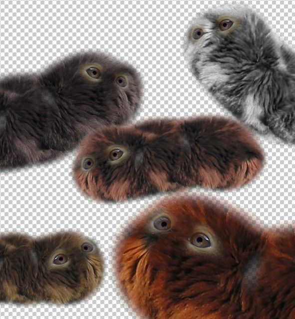 Creation of Fuzzy Poops: Step 9