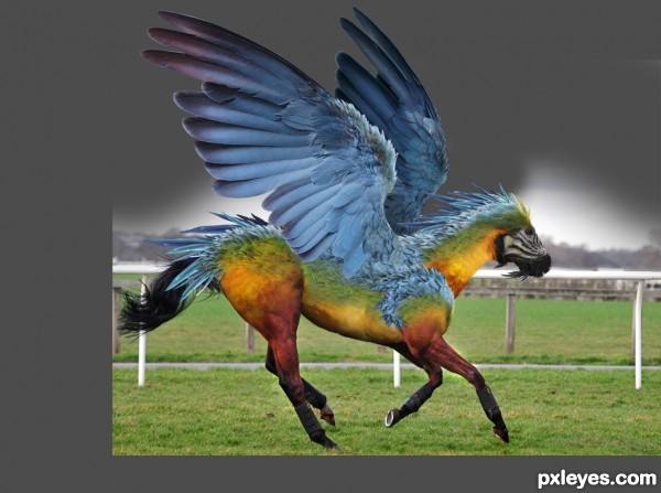 Creation of The Parrosus: Step 9