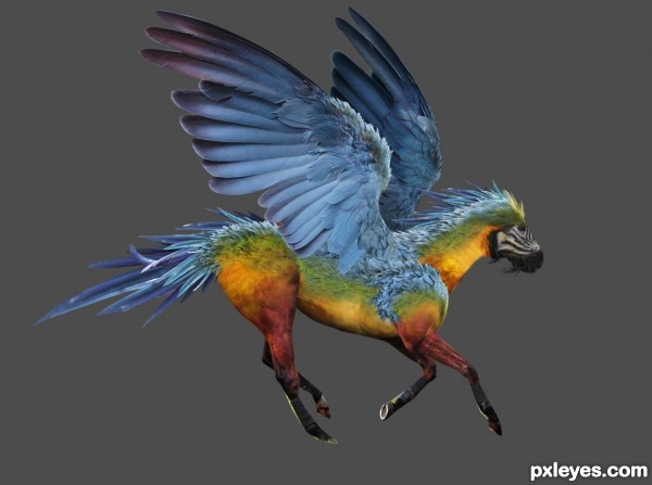 Creation of The Parrosus: Step 10