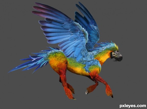 Creation of The Parrosus: Step 11