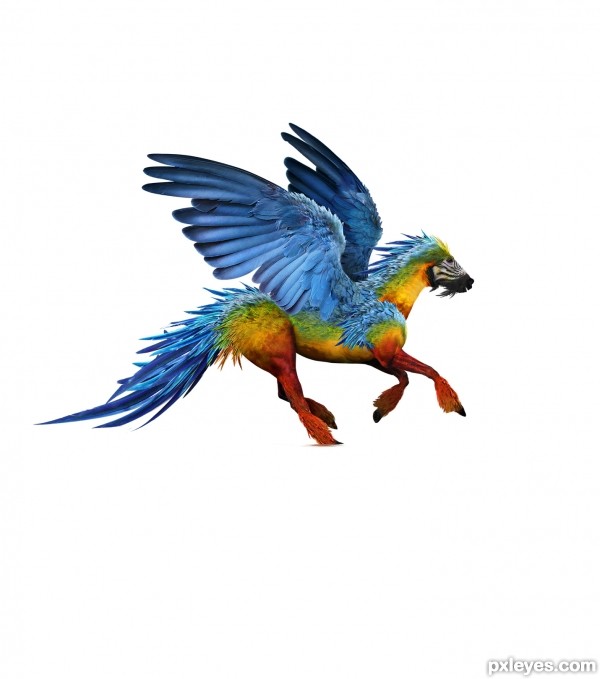 Creation of The Parrosus: Step 12