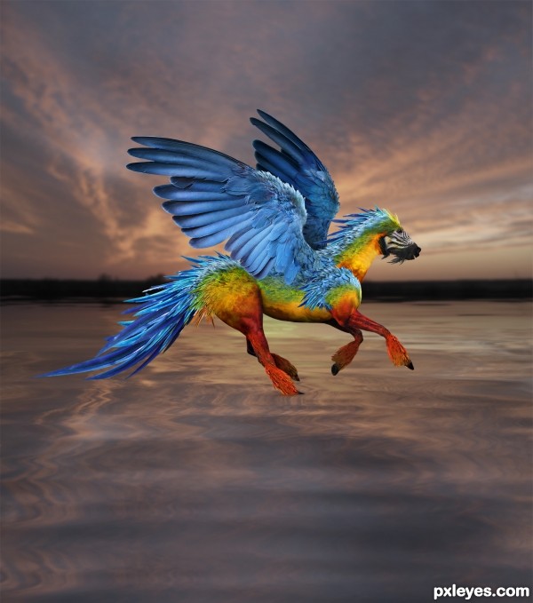 Creation of The Parrosus: Step 13
