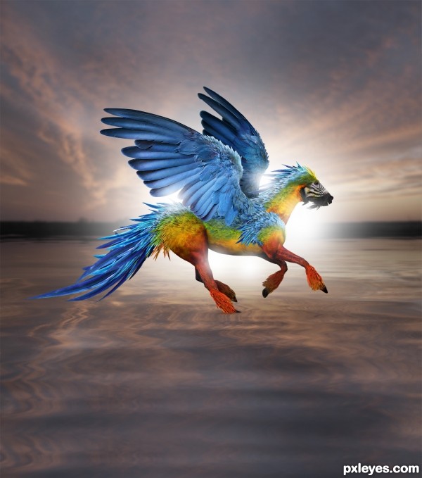 Creation of The Parrosus: Step 14