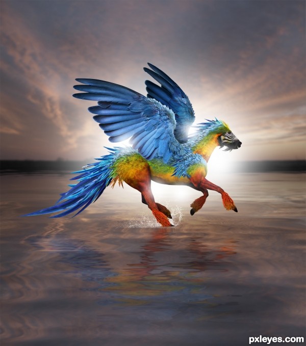Creation of The Parrosus: Step 15