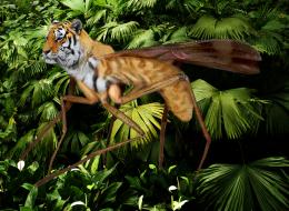 Tigermosquito