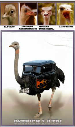 OSTRICH 2.0 TDI