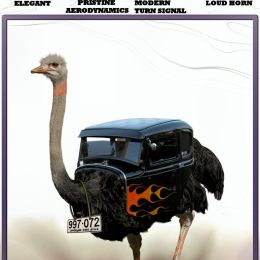 OSTRICH20TDI