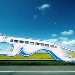 Entry number 89658 - Greyhound Bus Picture