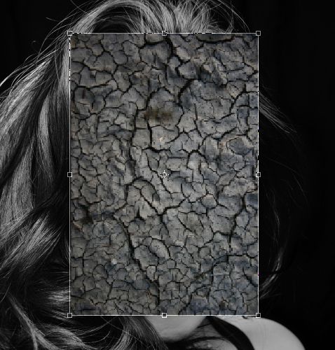 Creation of Cracked Beauty  : Step 2