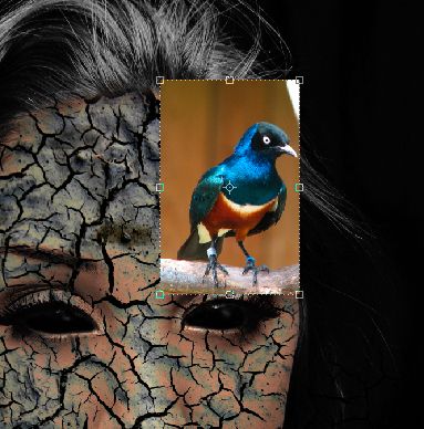 Creation of Cracked Beauty  : Step 6