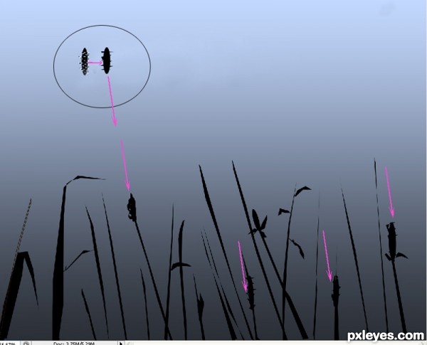 Creation of Birds and Butterfly: Step 3
