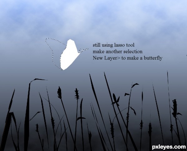 Creation of Birds and Butterfly: Step 8