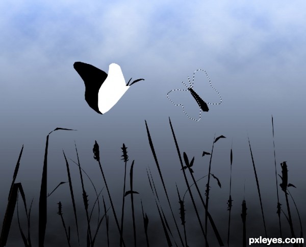 Creation of Birds and Butterfly: Step 9