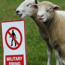 no trespassing 2 photography contest