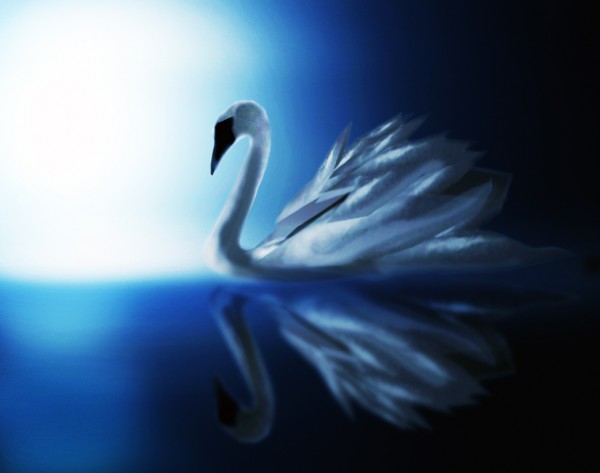 Creation of Silver Swan: Final Result