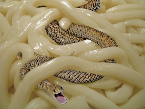 A strange noodle