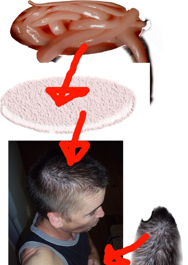 Creation of Mmmm Good Source!!!!: Step 1