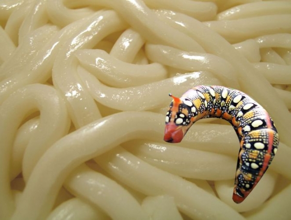 Creation of Wormy Noodles: Step 1