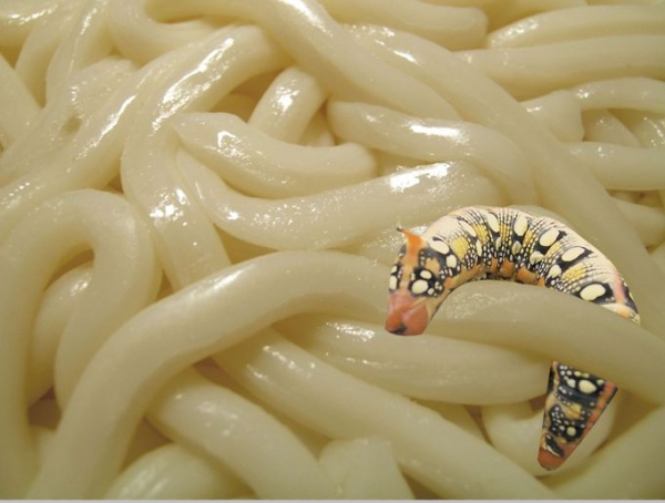 Creation of Wormy Noodles: Step 2