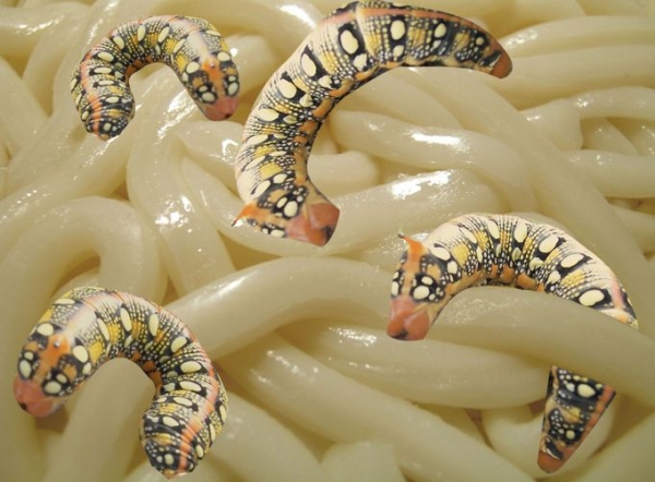 Creation of Wormy Noodles: Step 3