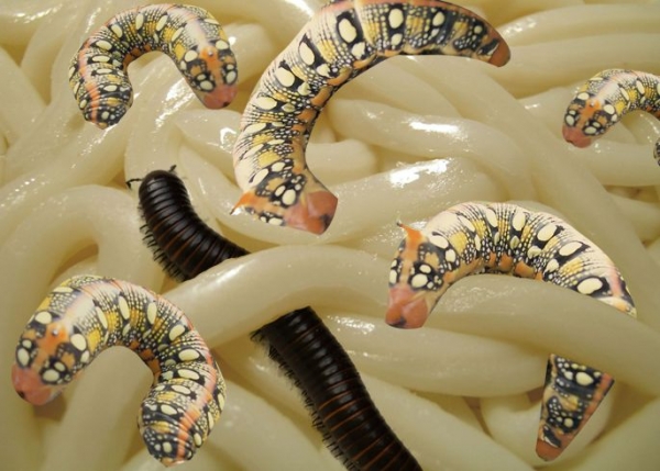 Creation of Wormy Noodles: Step 5