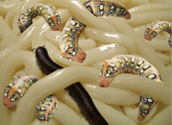 Creation of Wormy Noodles: Step 6