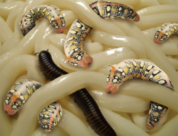 Creation of Wormy Noodles: Step 7