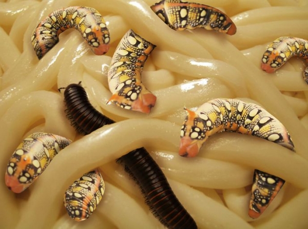 Creation of Wormy Noodles: Step 8